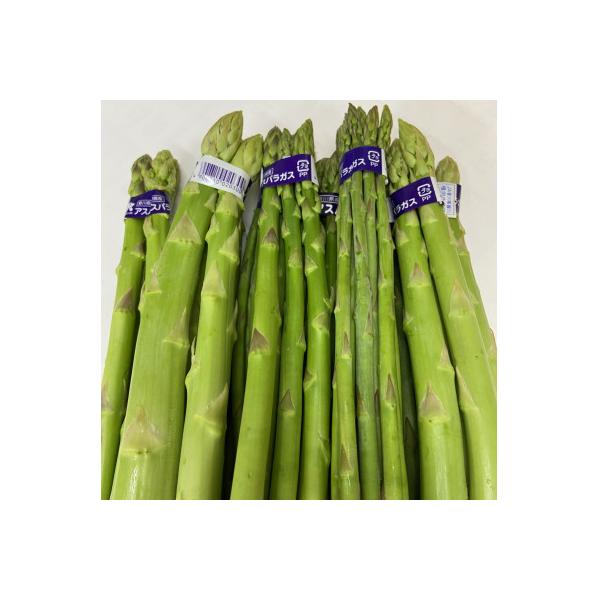 ■お礼品詳細　・配送種別：冷蔵便　・提供元：株式会社　五色青果（坂出市）■お申し込み・配送・その他　・発送時期：2026-07-16〜2026-10-17　・申込受付期間：〜2026-09-30　・配達外のエリア：離島　・寄付証明書の送付時...