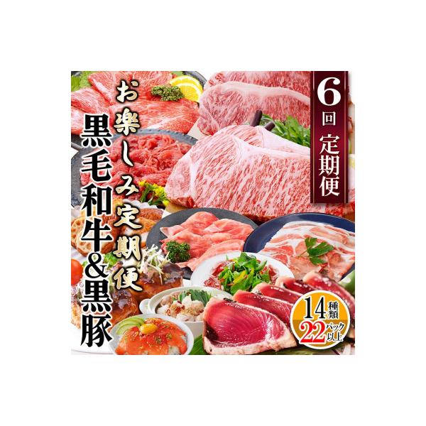 定期便(6回配送)　枕崎お楽しみ定期便(黒毛和牛・黒豚・加工品etc) FF-6003