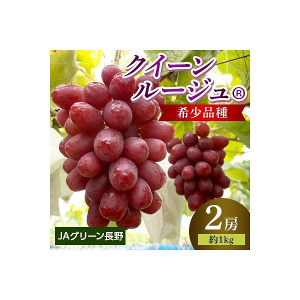 ふるさと納税 長野市 JAグリーン長野 クイーンルージュ(R) 2房(約1kg