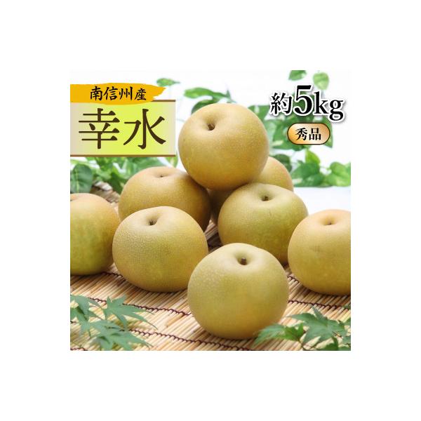 ■お礼品詳細　・配送種別：通常　・提供元：ＪＡみなみ信州ＤＭセンター飯田市■お申し込み・配送・その他　・発送時期：2026-08-20〜2026-09-01(お届け時間帯指定可)　・申込受付期間：2025-12-23〜2026-08-10　...