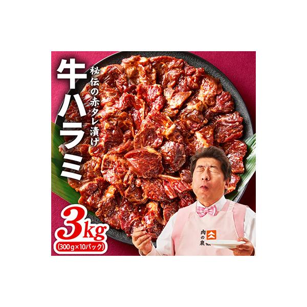 牛ハラミ肉 3kg(300g×10P)タレ漬け 訳あり サイズ不揃い 099H4567