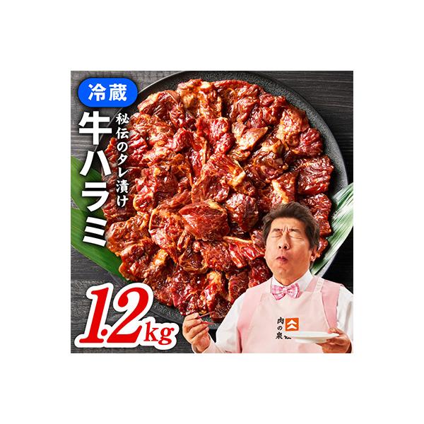 【冷蔵配送】牛ハラミ肉 焼肉用 味付け 1.2kg 小分け 300g×4P 015B574