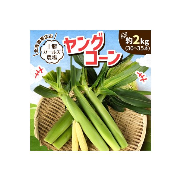 先行受付【十勝ガールズ農場】直送 ヤングコーン箱詰め 約2kg(30～35本)