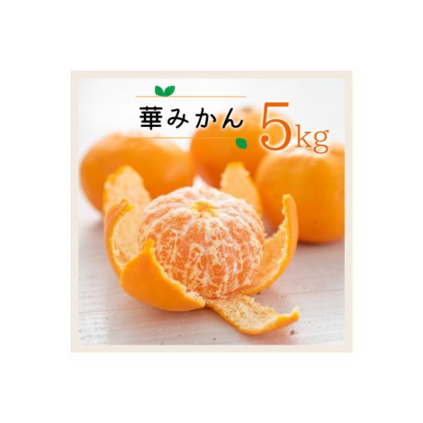コウ果樹園の華みかん5kg【A33-38】