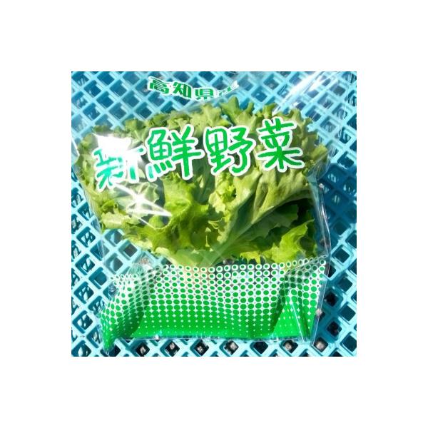 ■お礼品詳細　・配送種別：冷蔵便　・提供元：西岡農園■お申し込み・配送・その他　・発送時期：2026-01-14より順次発送 ※生産・天候・交通等の事情により遅れる場合があります。(お届け時間帯指定可)　・申込受付期間：通年　・配達外のエリ...