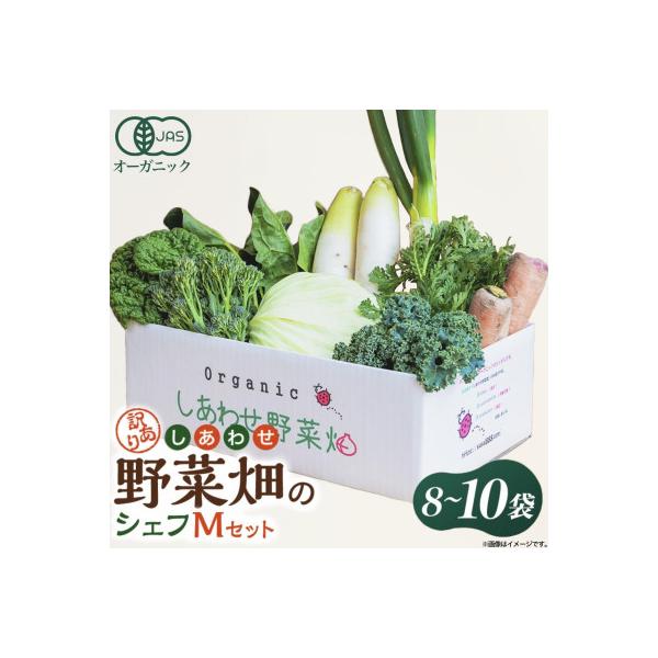 ■お礼品詳細　・配送種別：冷蔵便　・提供元：オーガニック農園　しあわせ野菜畑■お申し込み・配送・その他　・発送時期：2026-01-12より順次発送 ※生産・天候・交通等の事情により遅れる場合があります。(お届け時間帯指定可)　・申込受付期...