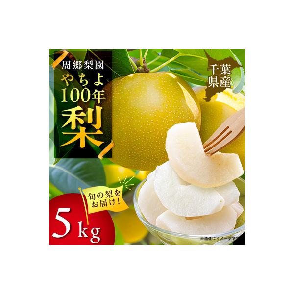 2026年発送先行受付 周郷梨園のやちよ100年梨(5kg)