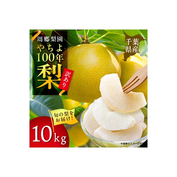 2026年発送先行受付 周郷梨園のやちよ100年梨家庭用(10kg)
