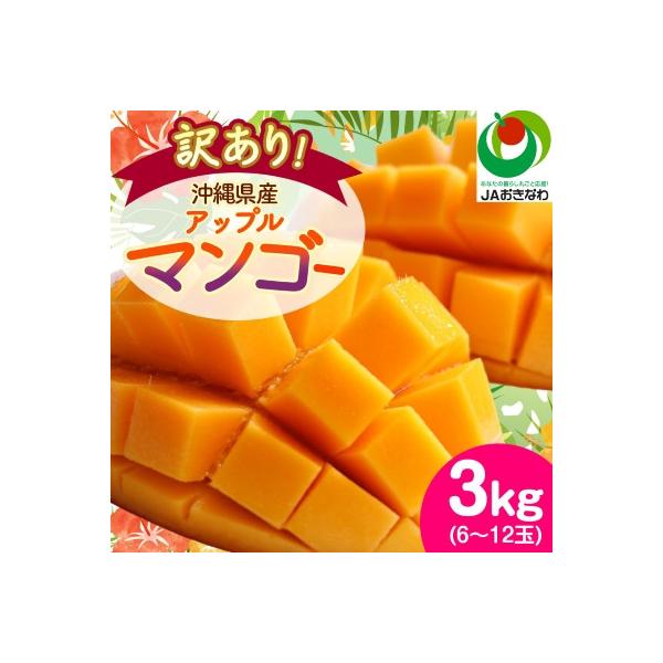 【2026年6月から順次発送・訳あり】アップルマンゴー3.0kg(6～12玉)