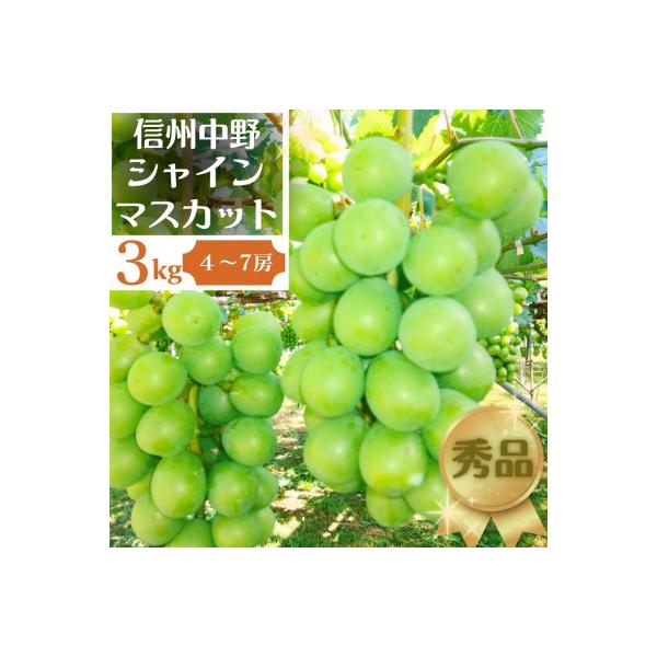長野県中野市産ぶどう・シャインマスカット秀品 3kg箱 4～7房入り