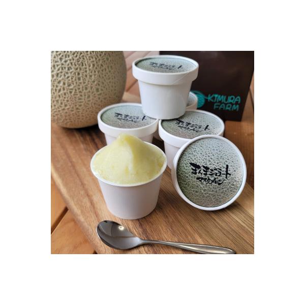 【まるでメロン!驚異の果汁70%】まんまジェラート ～マスクメロン～ 100ml×5個