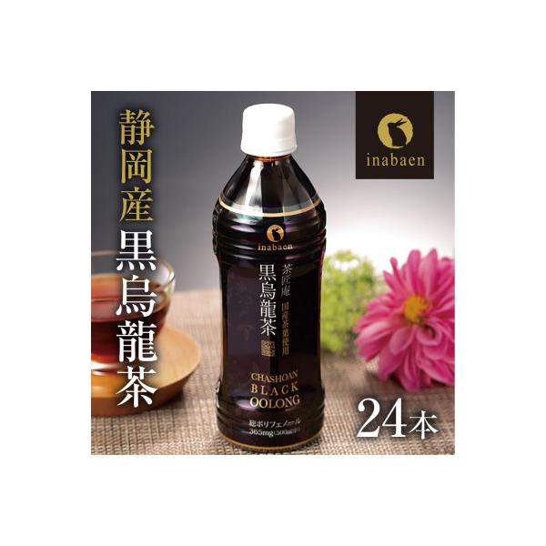静岡県牧之原産 国産黒烏龍茶ペットボトル 500ml×24本セット