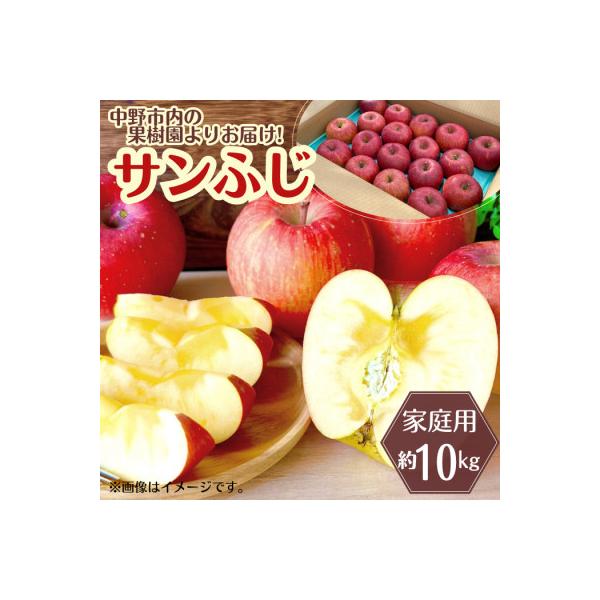 ◆2026年12月中発送◆りんご サンふじ家庭用 約10kg(24～42玉)