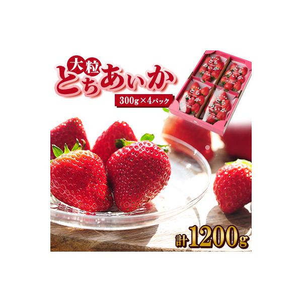 いちご生産量日本一栃木県産【春いちご】大粒『とちあいか』(300g×4パック)