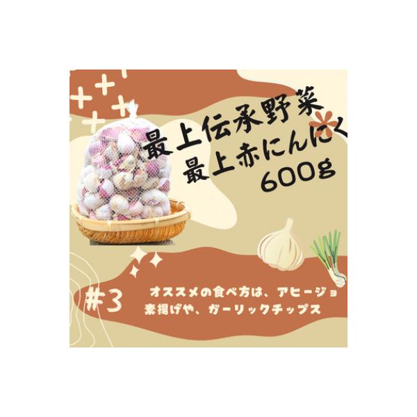 最上伝承野菜【最上赤にんにく】 600g(バラ)