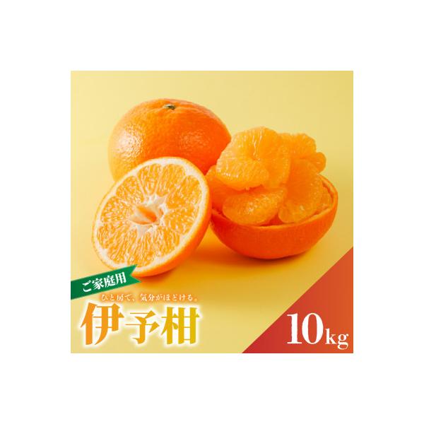 【先行予約】2027年1月下旬より発送 宮内伊予柑 約10kg 家庭用 訳あり 農家直送 いよかん