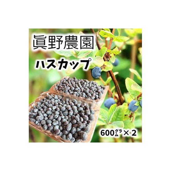 【先行受付】真野農園のハスカップ(600g×2)