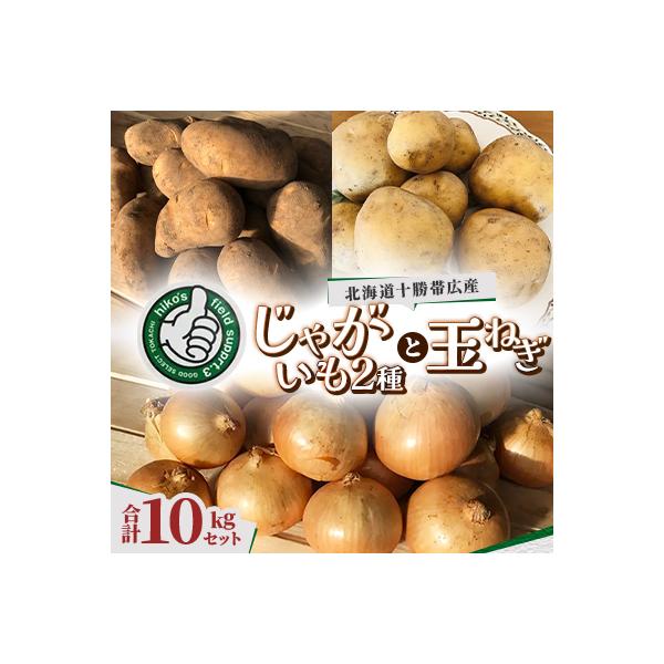 じゃがいも2種 玉ねぎ 合計10kgセット 北海道十勝帯広産