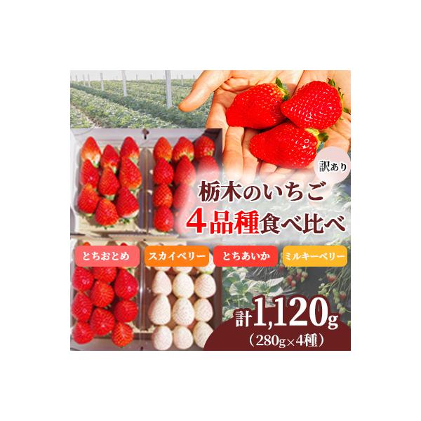 【先行受付】【訳あり】栃木県産いちご 贅沢 4品種食べ比べ 計1,120g(280g×4P)農園直送