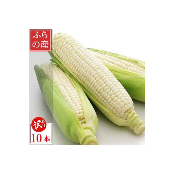2026年先行予約　北海道富良野産 生で食べられる白いとうもろこし ピュアホワイト 訳あり 10本