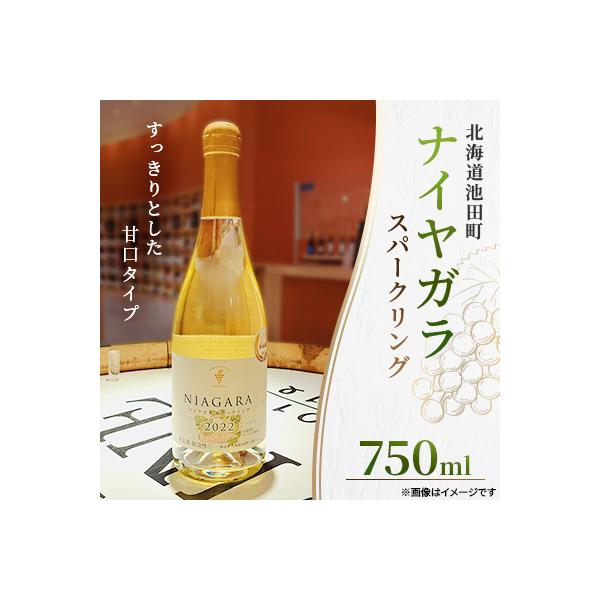 十勝ワイン ナイヤガラスパークリング 1本