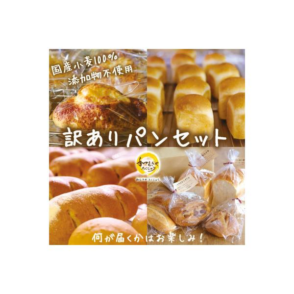 国産小麦粉100%使用!食品添加物不使用! 天然酵母・自社培養酵母の【訳ありパン】詰め合わせセット