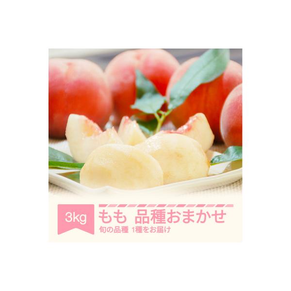 桃 品種おまかせ 約3kg 2026年産 山形県産