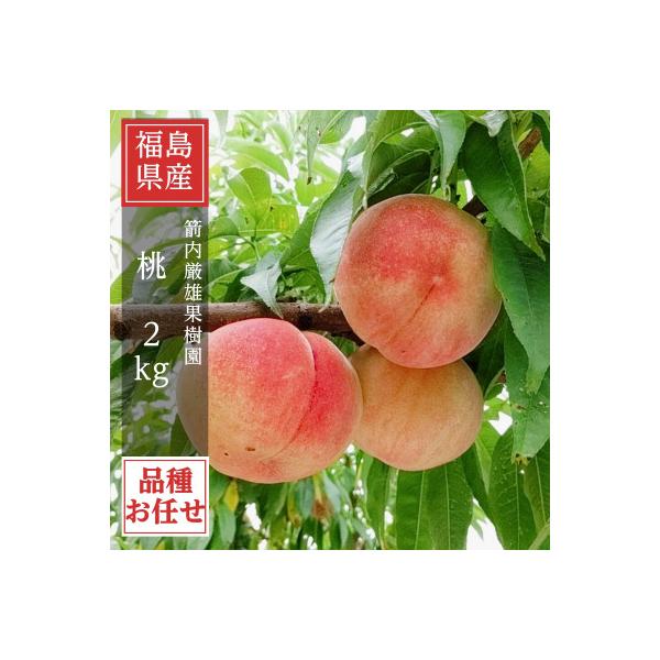 桃 【箭内厳雄果樹園】 もも 2kg 5～9玉 品種おまかせ 贈答用
