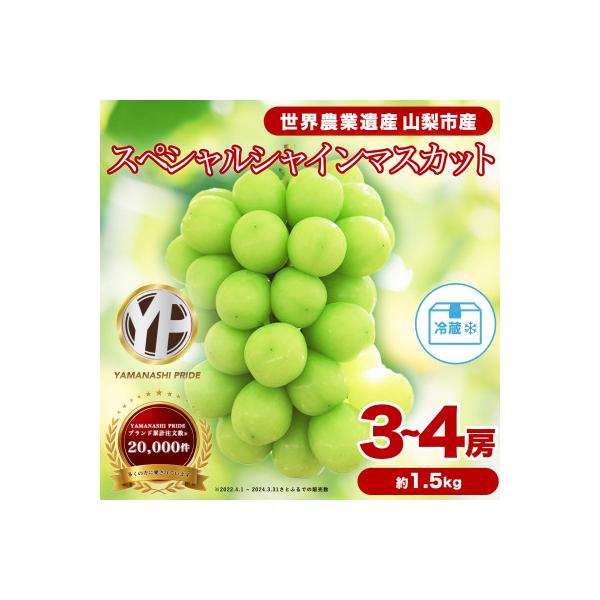 2026年発送 フルーツ王国山梨産厳選 シャインマスカット 3～4房(約1.5kg)