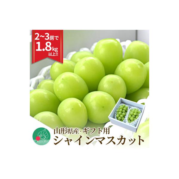 シャインマスカット 1.8kg 2～3房 大粒 秀品 ギフト箱 山形県産 【令和8年産 先行予約】