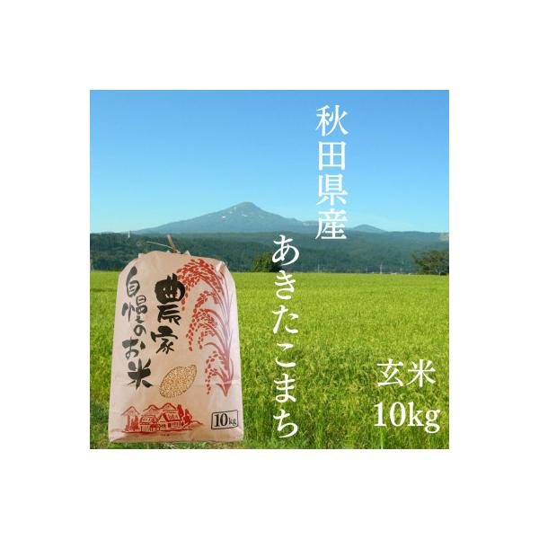 秋田由利本荘産あきたこまち一等米（玄米10キロ） ふるさと納税 由利本荘市 【令和7年産先行受付】秋田県産