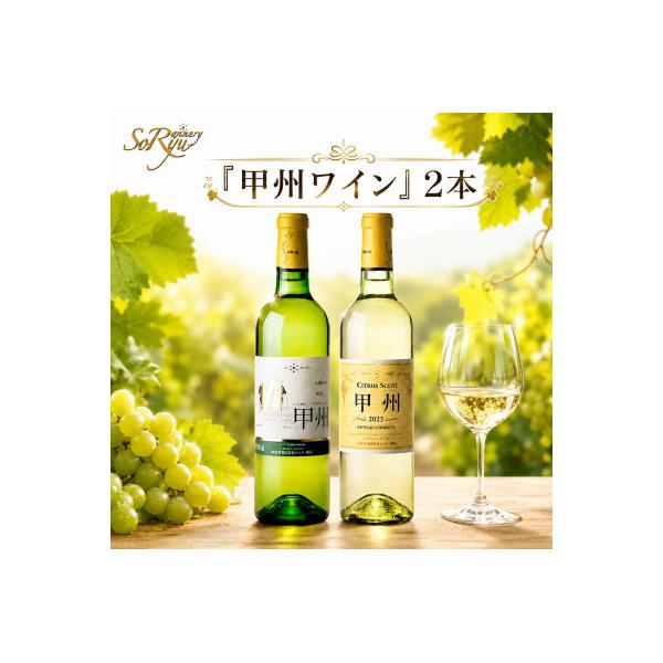 蒼龍葡萄酒『甲州ワイン』飲み比べ白ワイン2本セット　B12653