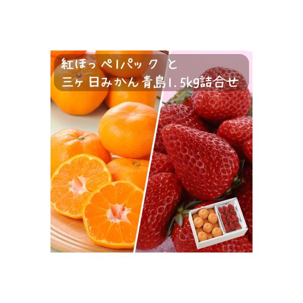 紅ほっぺいちご1パックと三ヶ日みかん青島1.5kg