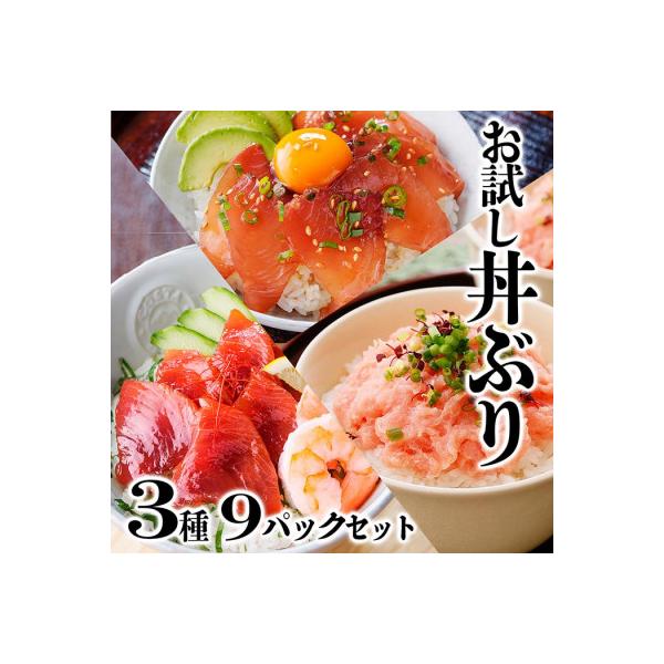 お試し丼ぶり3種9パックセット　A0-63