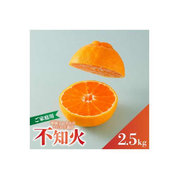 【先行予約】2027年3月上旬～発送 不知火 約2.5kg (デコポンと同品種)  家庭用 訳あり