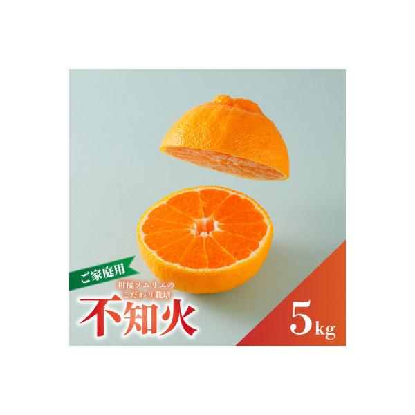 【先行予約】2027年3月上旬より発送 不知火 約5kg (デコポンと同品種) 家庭用 訳あり