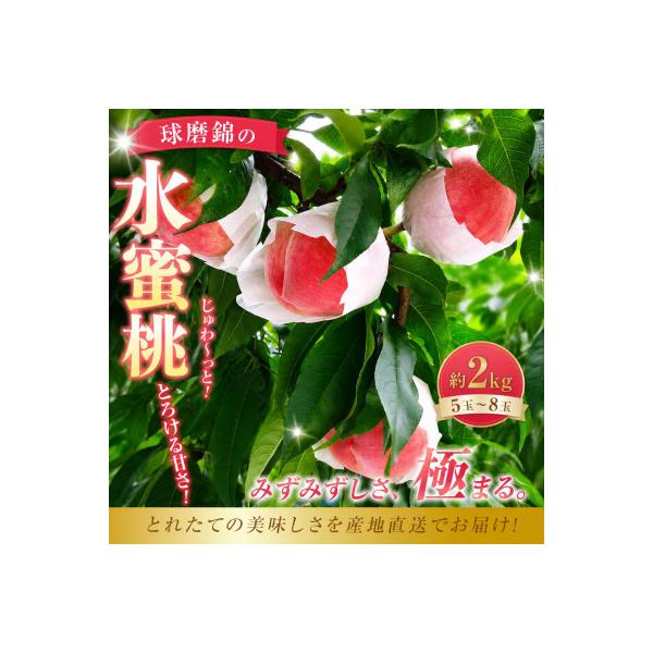 【先行受付】2026年発送 熊本県 錦町 錦の水蜜桃 約2kg 5玉～8玉 【古里農園】