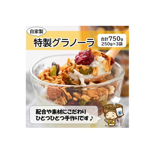 自家製 フルーツグラノーラ 250g×3袋(計750g)《配合や素材にこだわり1つ1つ手作り!》