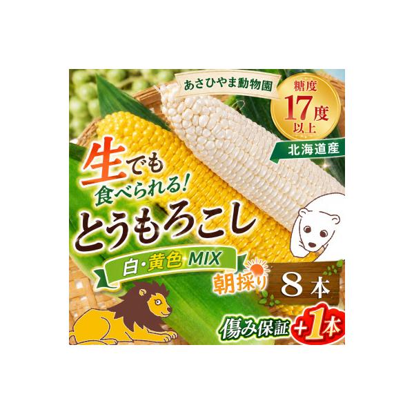 2026年先行受付【生でも美味】北海道あさひやま動物園白くまコーン4本ライオンコーン4本_03815