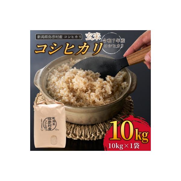 新潟県弥彦村石井農園　令和7年産コシヒカリ【玄米 10kg】
