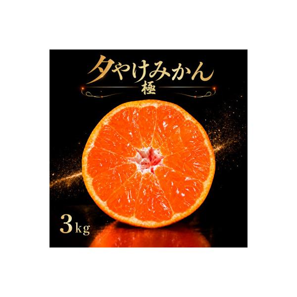 【迷ったらこれ!】甘みが濃縮　夕やけみかん【極】3kg　愛媛県産【C49-25】