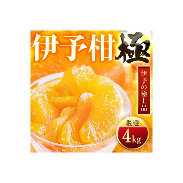 【昔ながらの美味しさ】伊予柑【極】4kg　愛媛県産【C49-42】