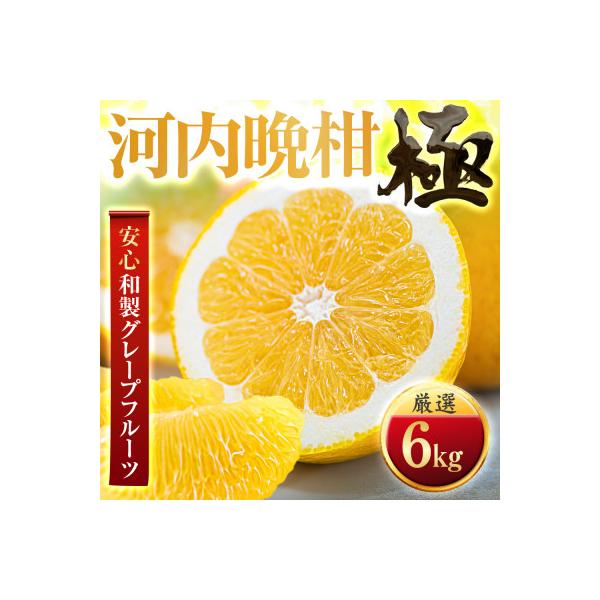 【和製グレープフルーツ】河内晩柑【極】6kg　愛媛県産【C49-61】