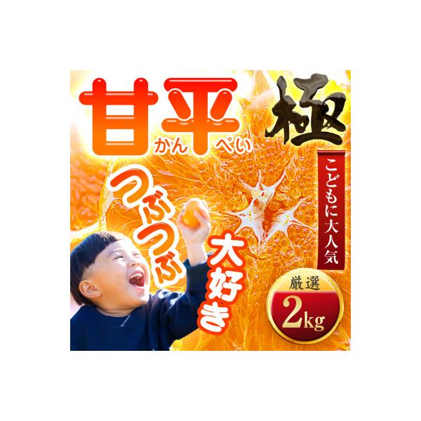 【売切れ前に!】シャキシャキ甘い♪♪【甘平】2kg　愛媛県産【D49-63】