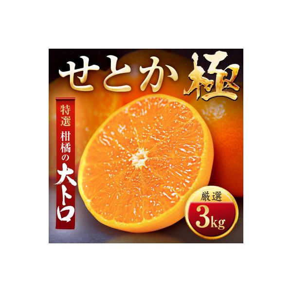 【毎年大人気】柑橘の大トロ!【せとか】3kg　愛媛県産【E49-67】