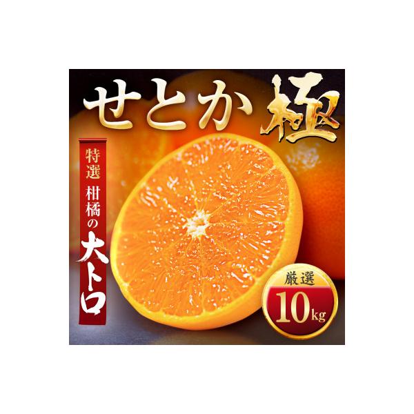 【毎年大人気】柑橘の大トロ!【せとか】10kg　愛媛県産【H49-68】