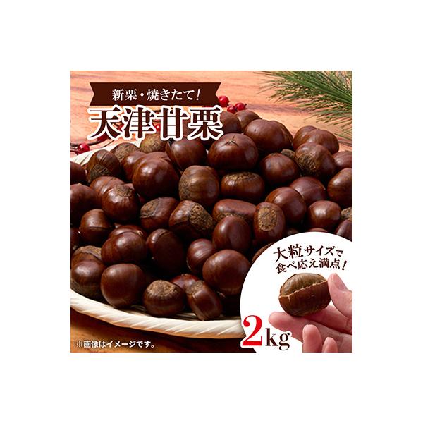 【2kg】新栗ビックサイズ!!焼きたて!!天津甘栗　大粒サイズ　期間限定でお届けします。