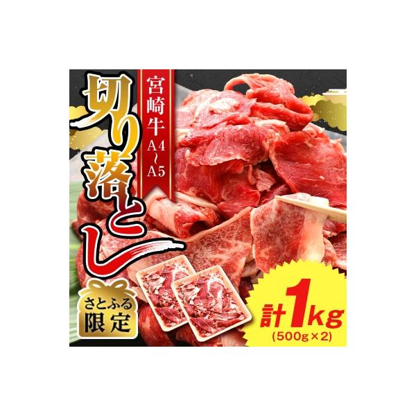 【さとふる限定】A4～A5 宮崎牛 黒毛和牛 切り落とし 合計 1kg (500g×2) (日向市)