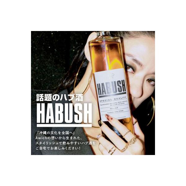 ふるさと納税 糸満市 話題のハブ酒『HABUSH』 アルコール35% 500ml