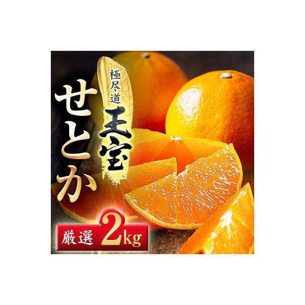 「玉宝ブランド」【せとか】2kg【C64-46】